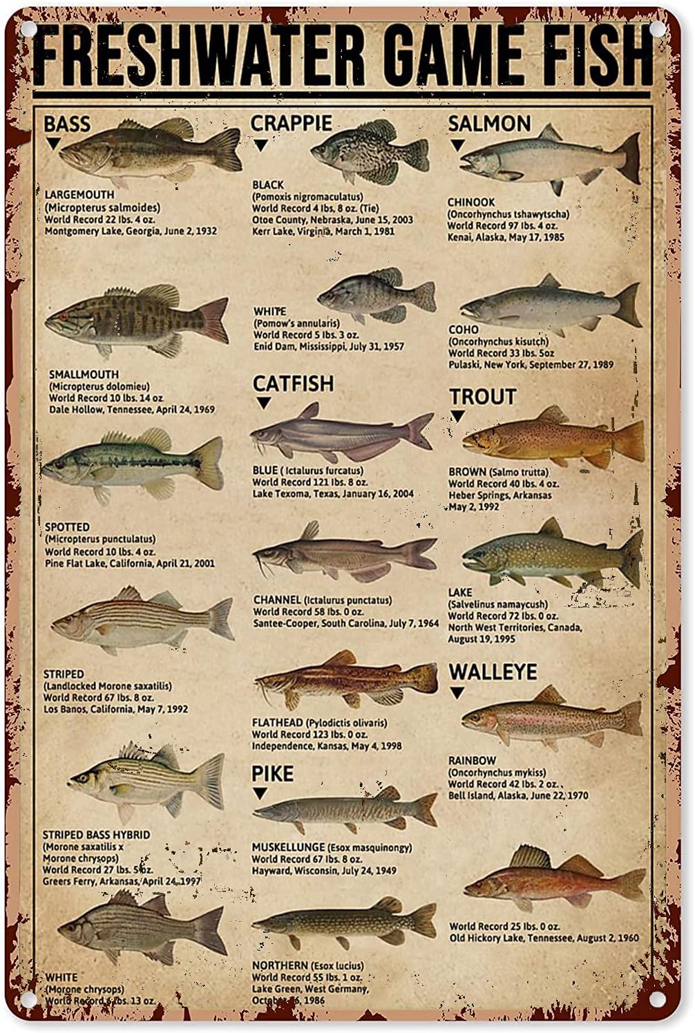 Y1,Fishing Art Posters Metal S - đánh giá và giá Home Decor Game