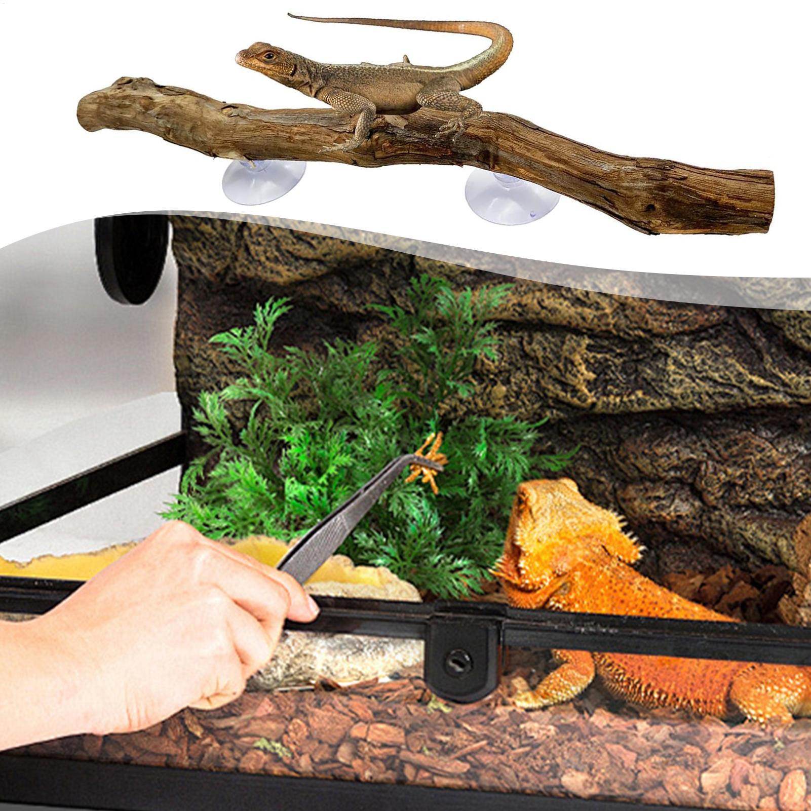 Wooden Snake Climbing Branch R - đánh giá và giá Home Decor Habitat