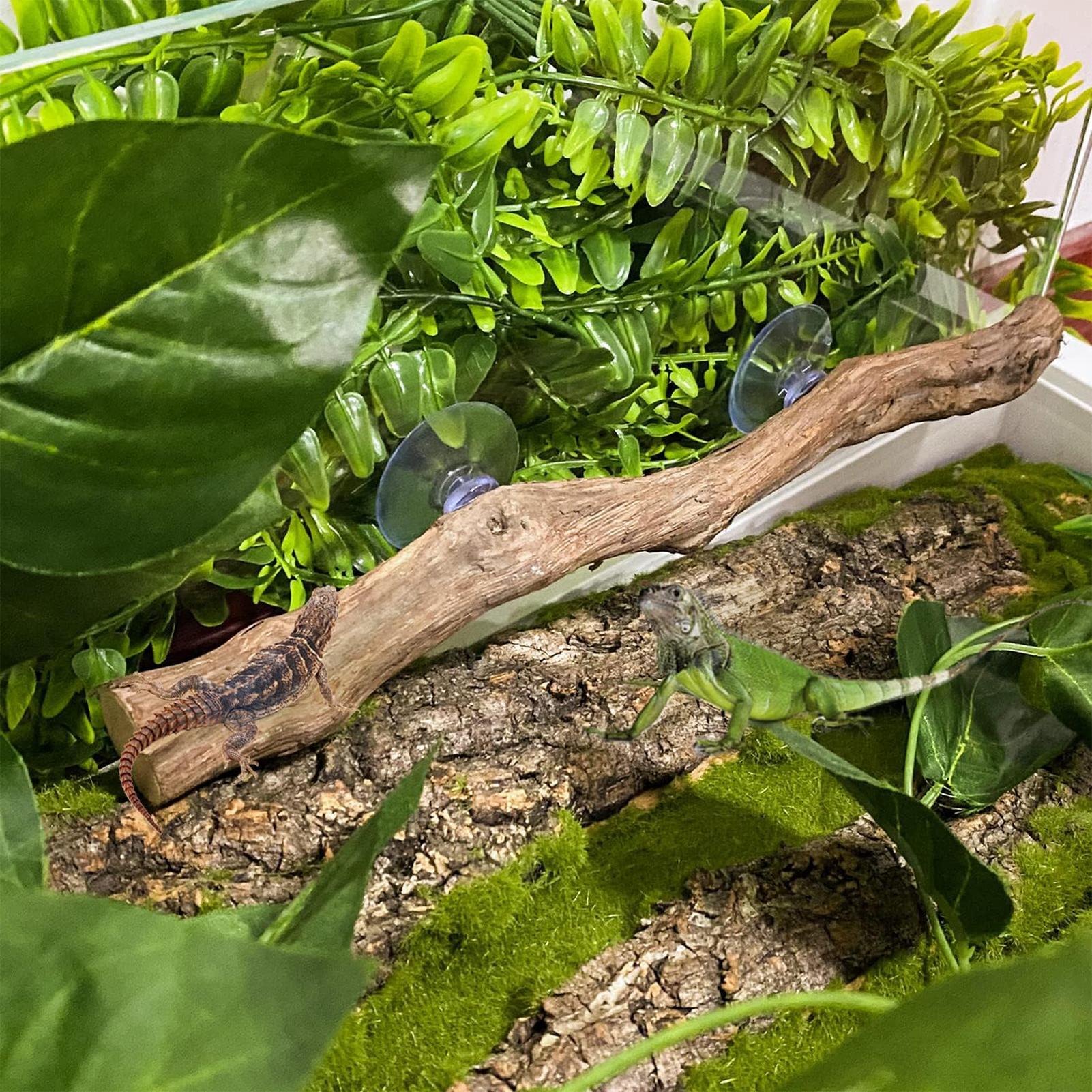 Wooden Snake Climbing Branch R - đánh giá và giá Home Decor Habitat
