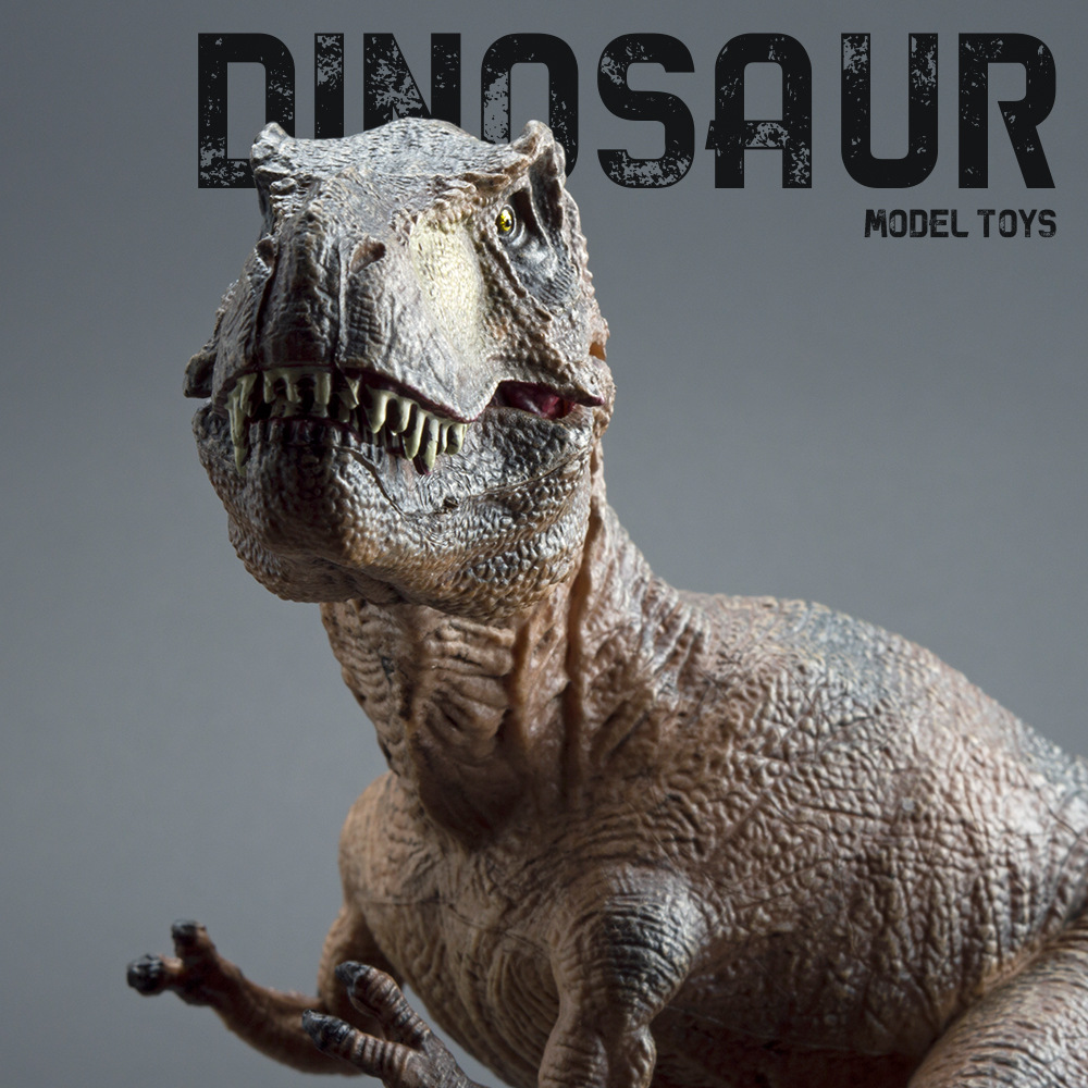 Realistic Tyrannosaurus Rex Di - đánh giá và giá Home Decor Market