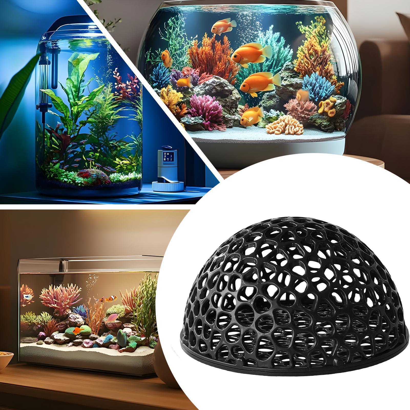 Shrimp Breeding Cave fish tank - đánh giá và giá Home Decor Habitat