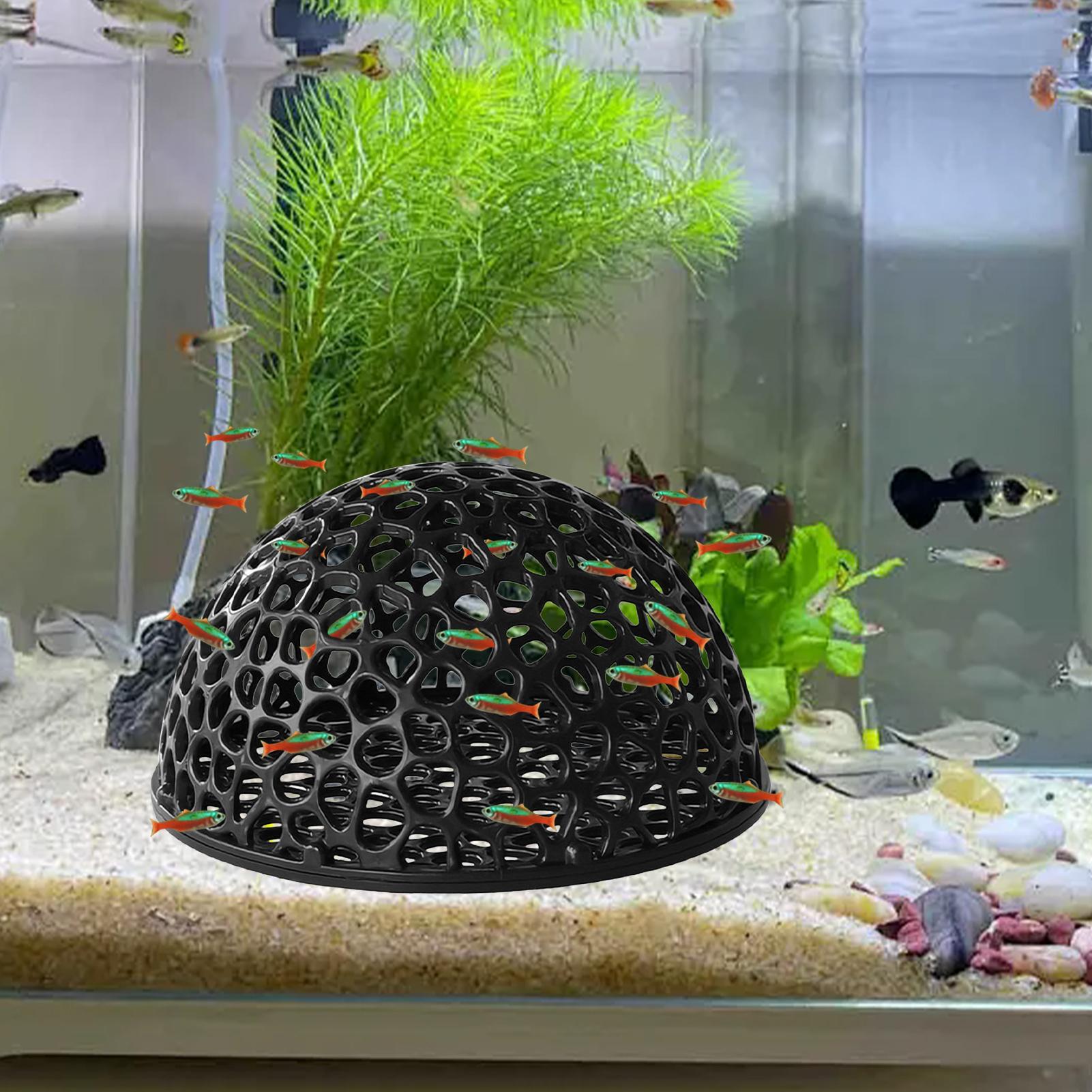 Shrimp Breeding Cave fish tank - đánh giá và giá Home Decor Habitat