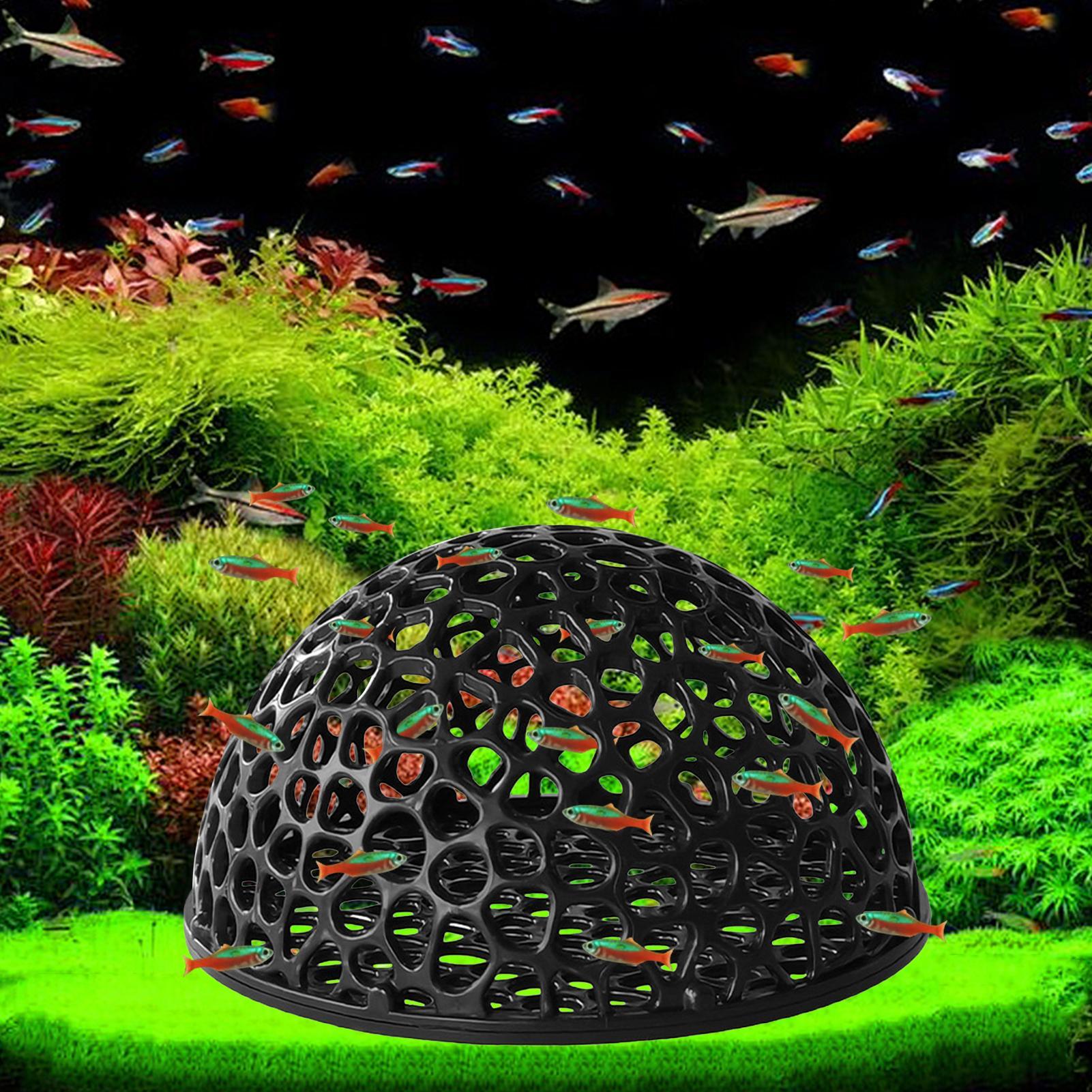 Shrimp Hide Breeding Hide Shri - đánh giá và giá Home Decor Habitat