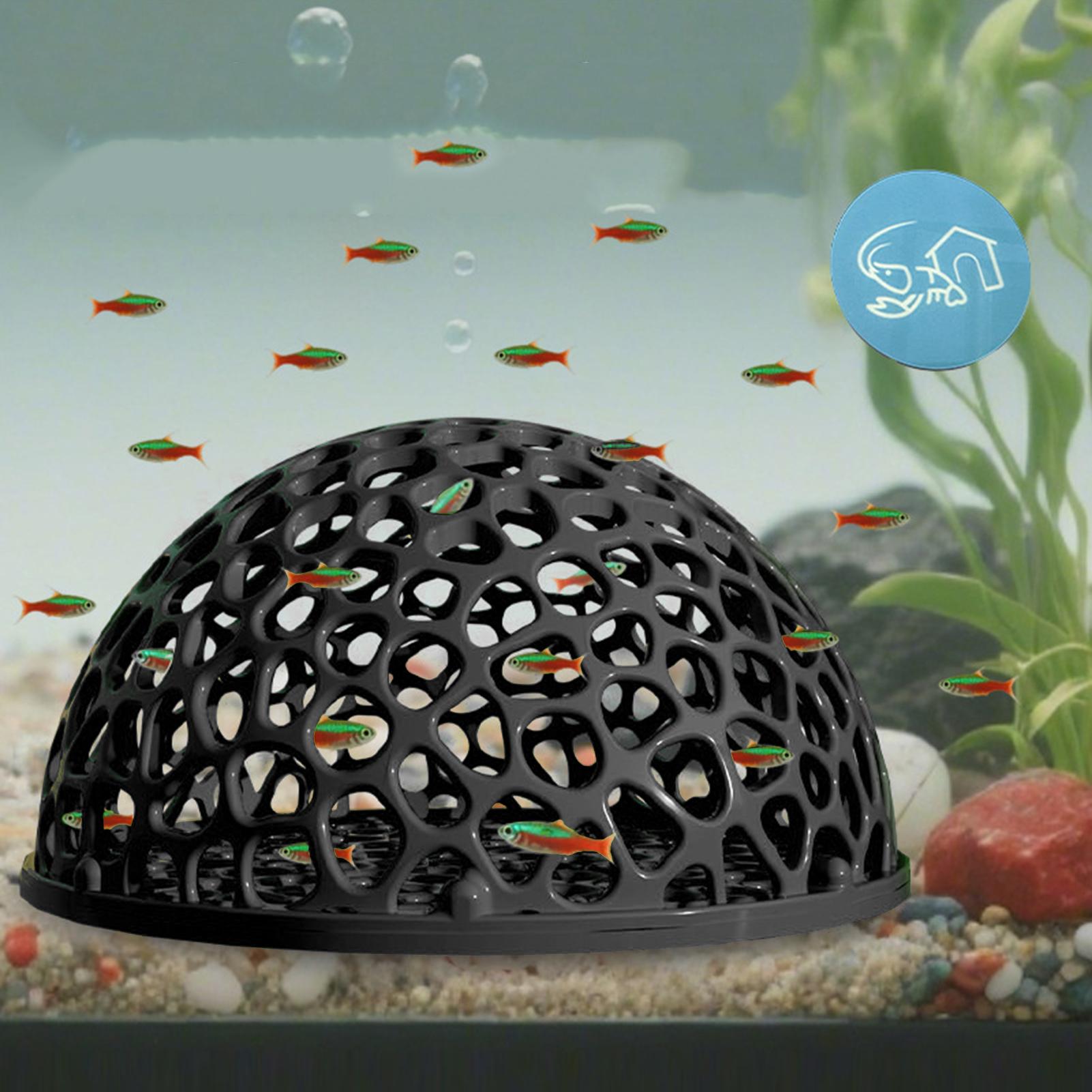Shrimp Hide Breeding Hide Shri - đánh giá và giá Home Decor Habitat