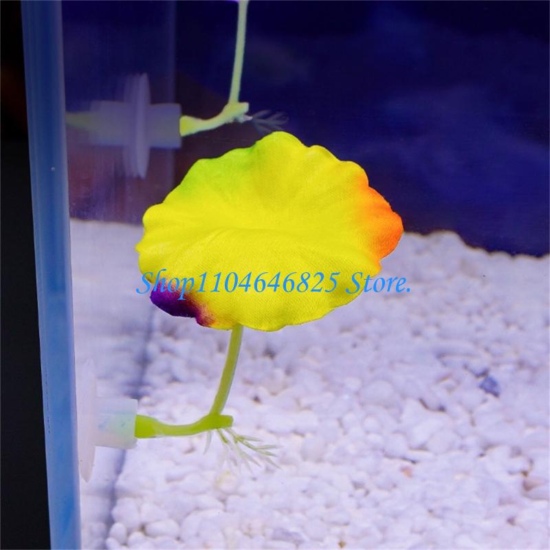 Nhà máy nước đầy màu sắc nhân  - đánh giá và giá Home Decor Habitat