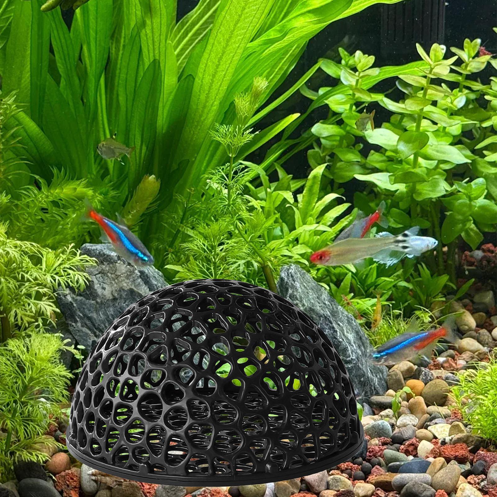 Shrimp Breeding Cave fish tank - đánh giá và giá Home Decor Habitat