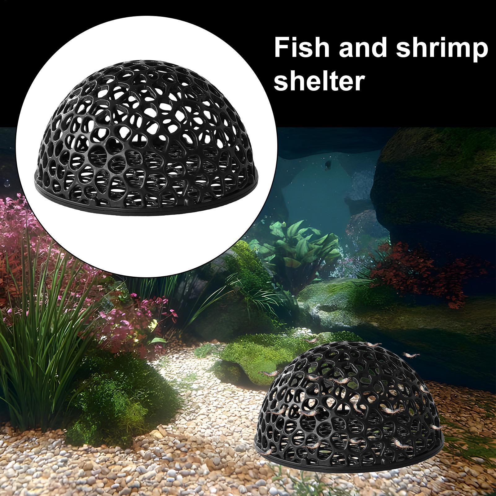 Shrimp Breeding Cave fish tank - đánh giá và giá Home Decor Habitat