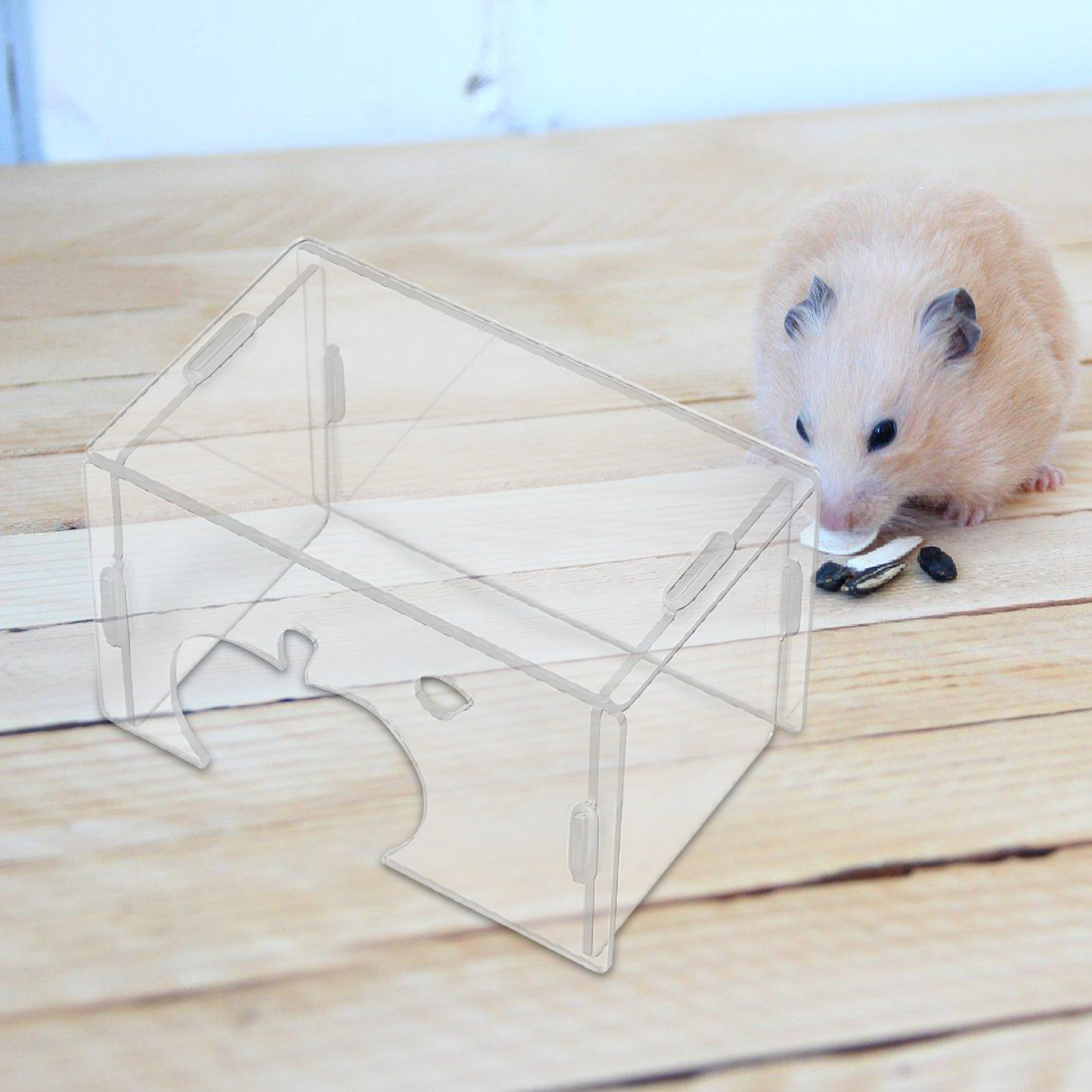Hamster Hideout Clear Acrylic  - đánh giá và giá Home Decor Habitat