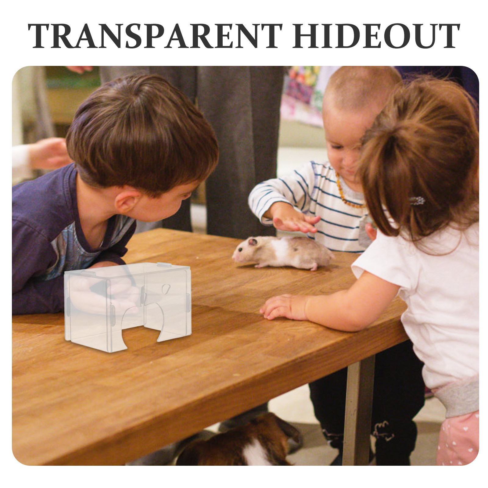 Hamster Hideout Clear Acrylic  - đánh giá và giá Home Decor Habitat