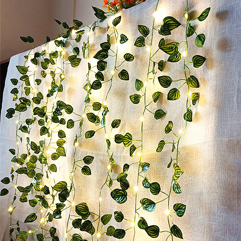 Wedding Decoration Battery Ope - đánh giá và giá String Curtain Light