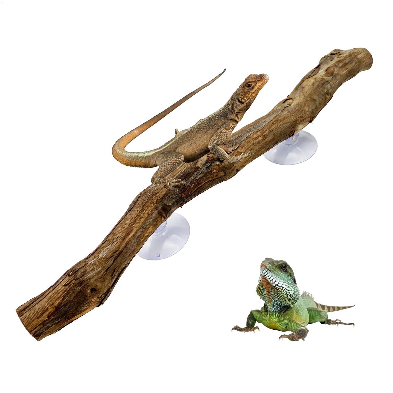Reptile Climbing Corner Stick  - đánh giá và giá Home Decor Habitat