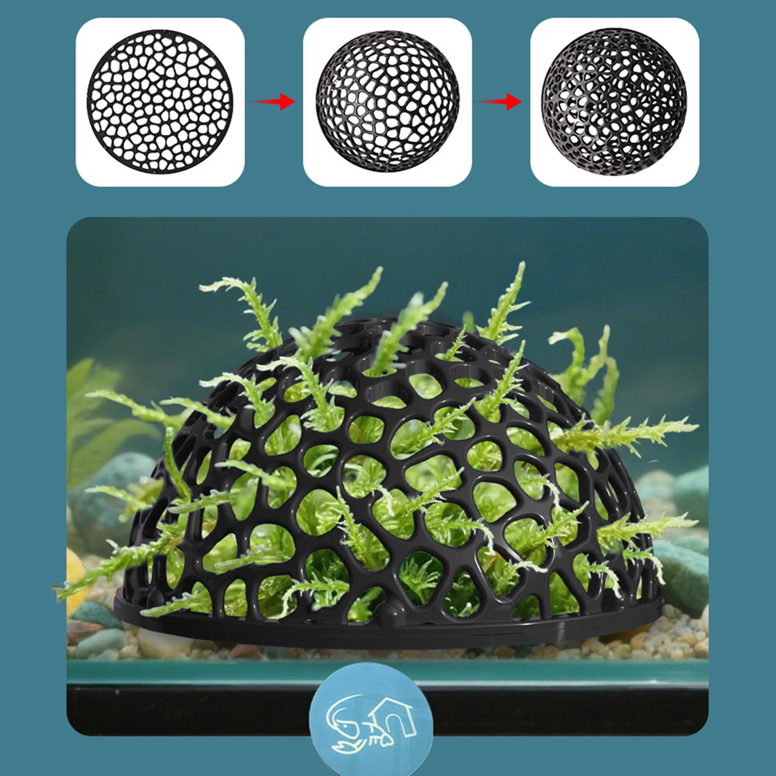 A  Shrimp Breeding Cave fish t - đánh giá và giá Home Decor Habitat