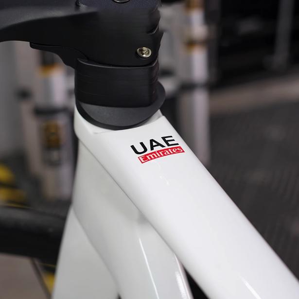 2pcs UAE Emirates Bike Frame V - đánh giá và giá Home Decor Uae