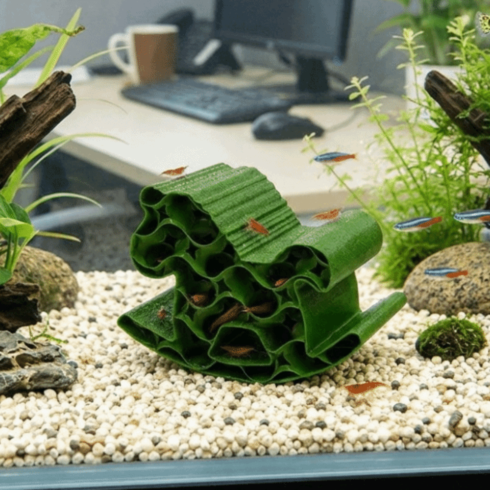 Creative 3D Printed Fish Hollo - đánh giá và giá Home Decor Habitat