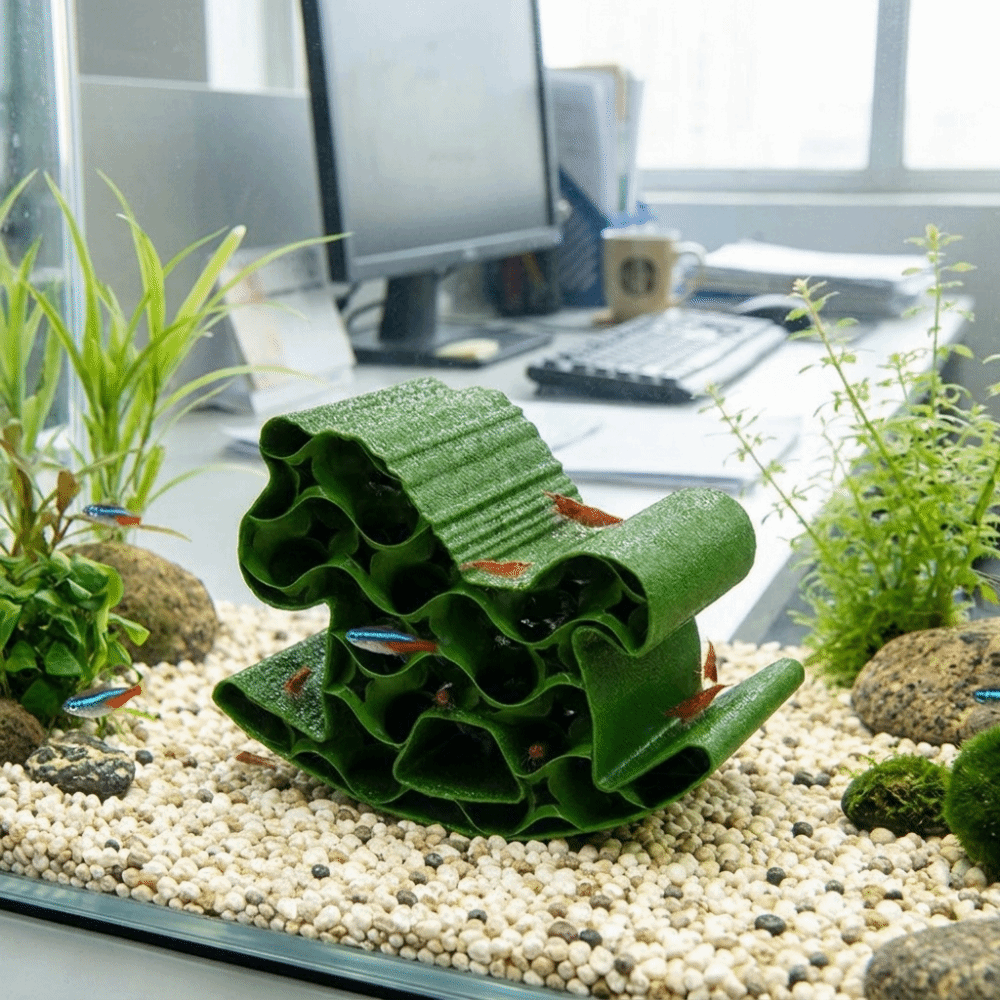 Creative 3D Printed Fish Hollo - đánh giá và giá Home Decor Habitat
